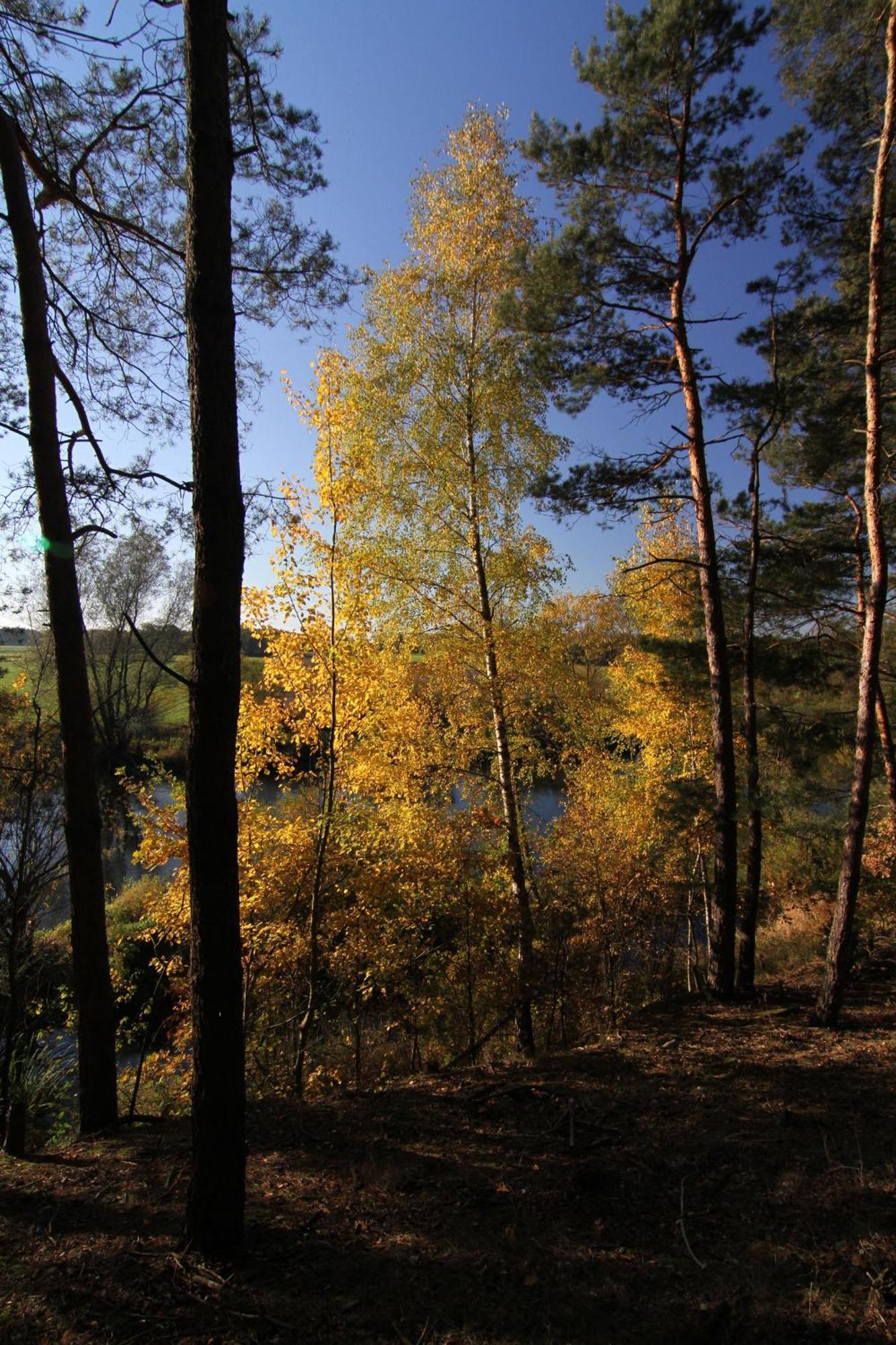 Osada Osjaków Eksteriør bilde